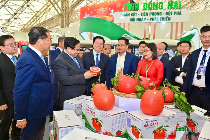 Chùm ảnh: Tưng bừng khai mạc Hội chợ Mùa Xuân  - 11