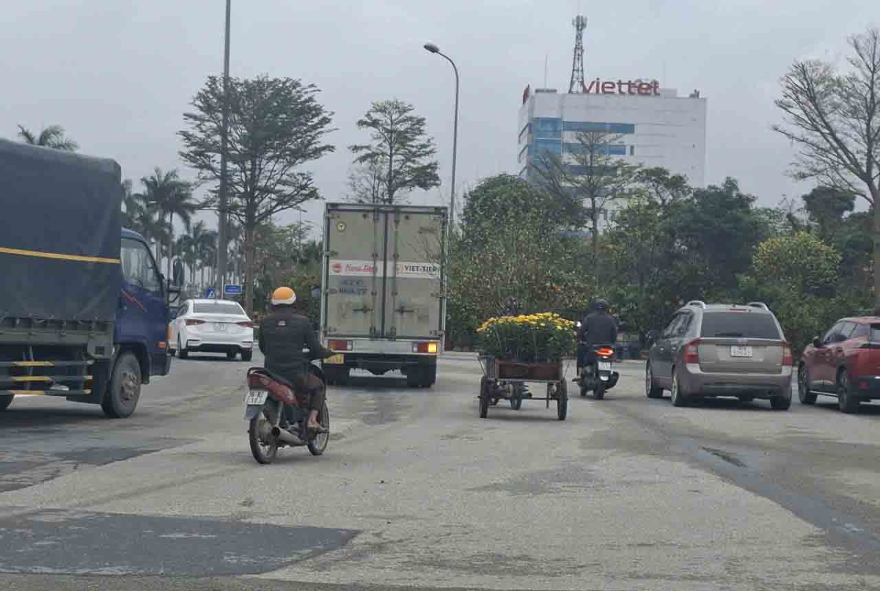 Trên các tuyến đường dịp cận Tết dễ bắt gặp những chiếc xe kéo chở hoa về nhà cho khách. Ảnh: Trần Tuấn.