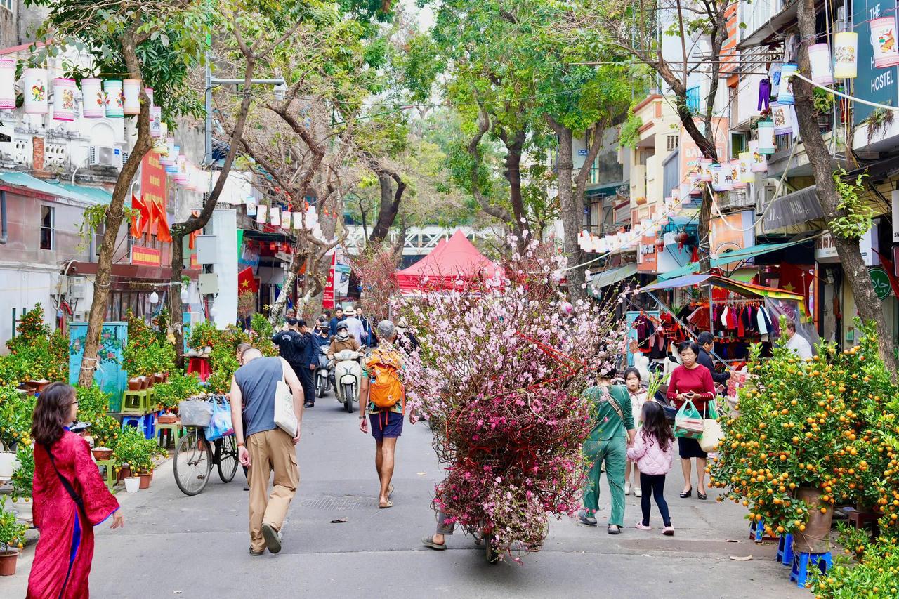 Chợ Hoa xuân Phố cổ 2026: Điểm hẹn kết nối truyền thống