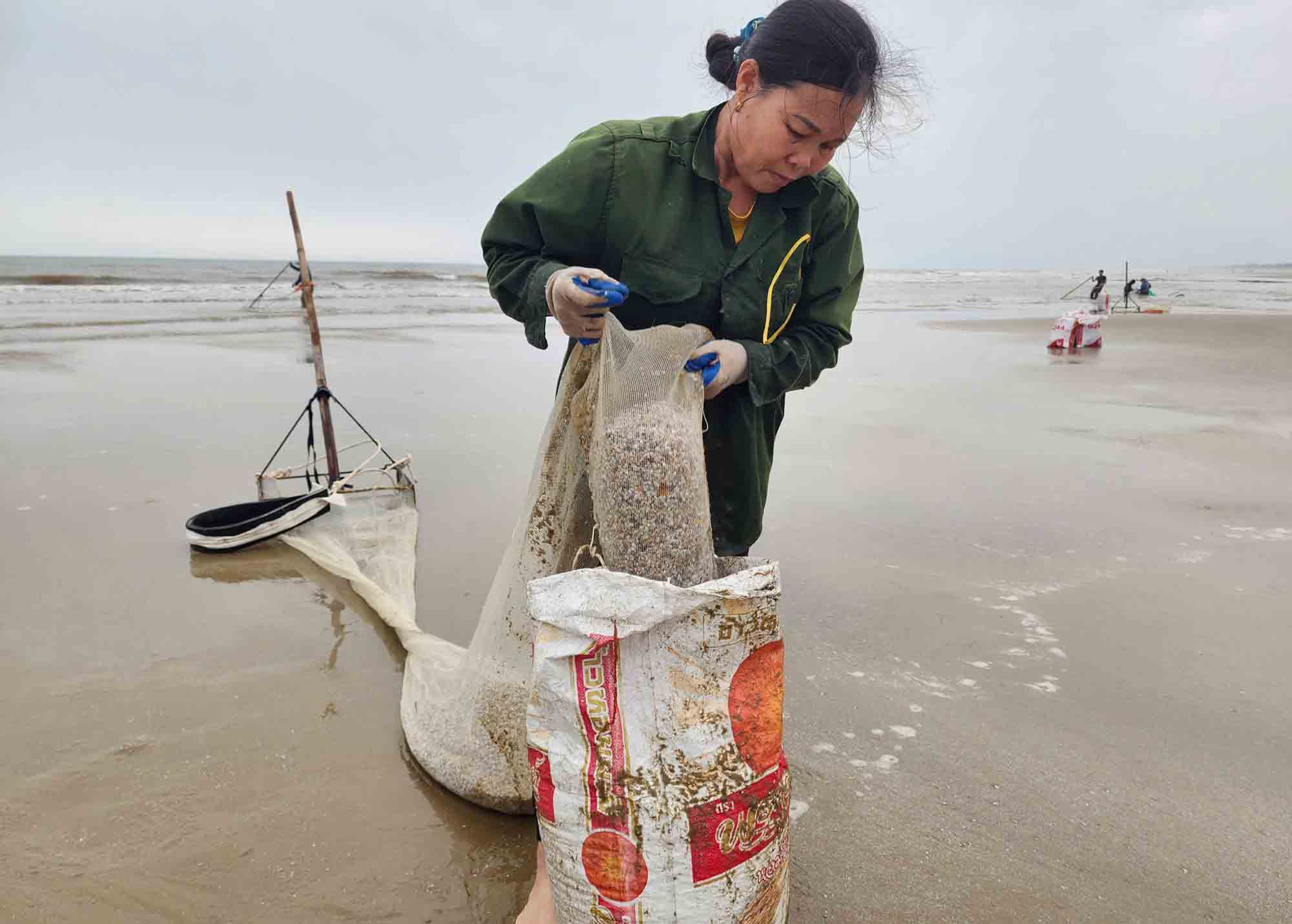 Cho ốc tép vào bao tải. Ảnh: Trần Tuấn