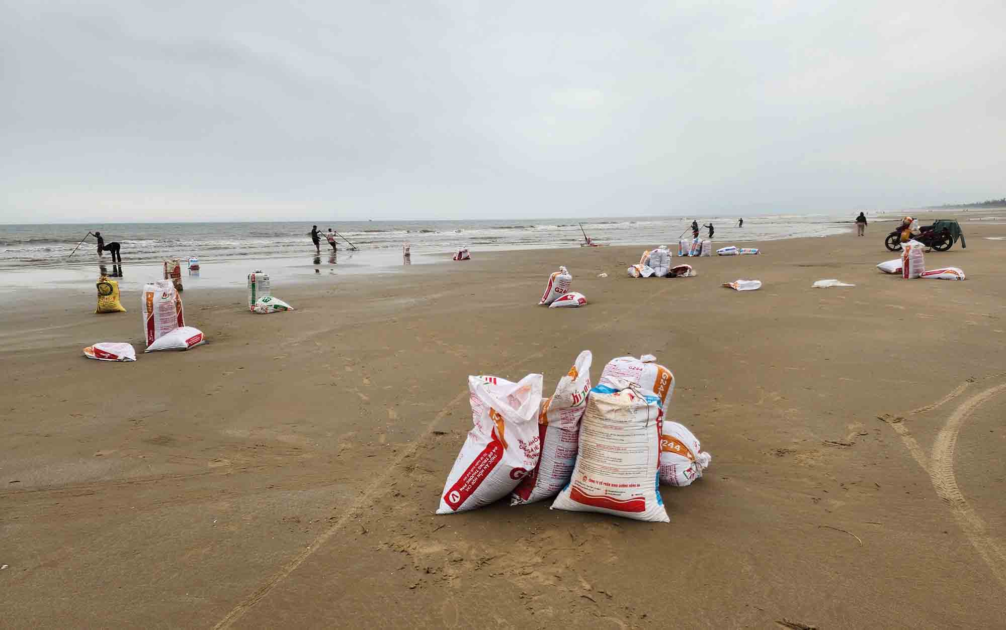 Người dân bắt được nhiều bao tải ốc tép. Ảnh: Trần Tuấn