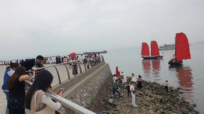 Tạm dừng chạy thuyền buồm đỏ ven bờ vịnh Hạ Long từ 27.2