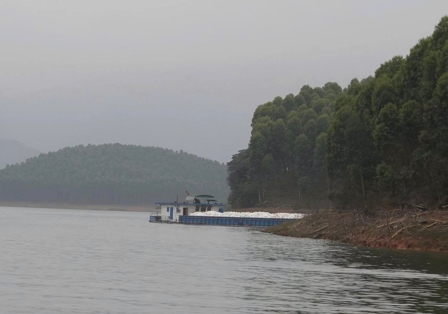 Nhâm điều khiển