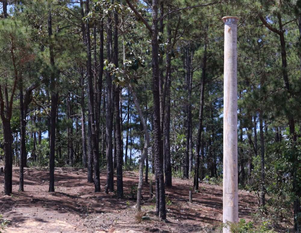 Một trạm BTS đang được lắp đặt tăng cường trên Quốc lộ 28B. Ảnh: Phạm Duy