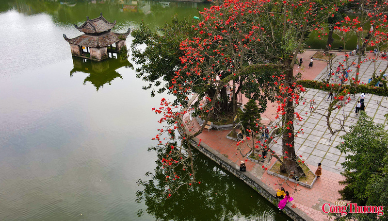 Theo người dân ở đây, trước kia, sân chùa Cả (chùa chính dưới chân núi) có 5 cây hoa gạo.