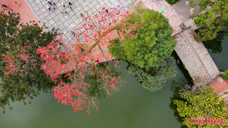 Nhưng bốn cây đã chết, còn một cây nằm mé bên trái chùa, gần cầu “Nhật Tiên Kiều” nhà chùa trồng thêm hai cây mới.