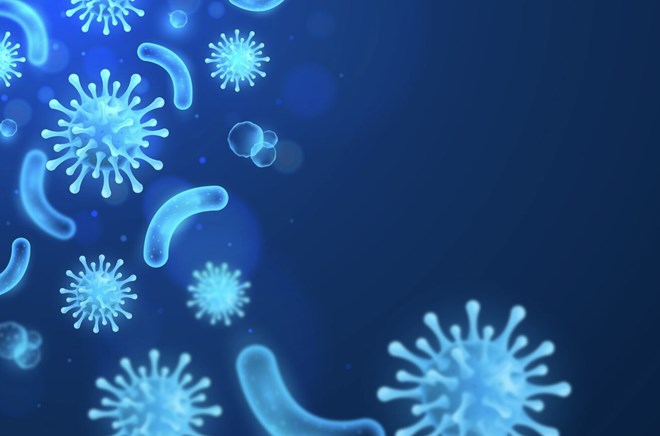 Men vi sinh tồn tại trong cơ thể bao lâu