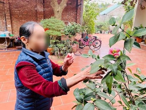 Lịch chi trả lương hưu tháng 4: Những điều cần lưu ý