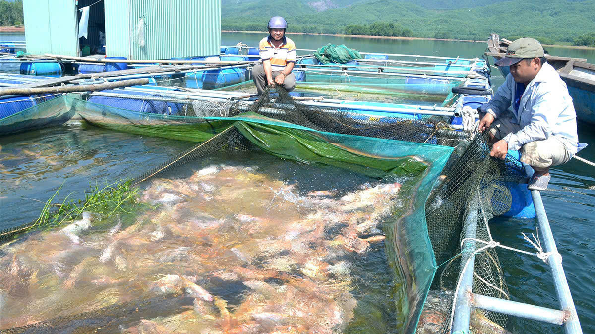 Cán bộ tín dụng chính sách ở Lâm Đôn luôn tận tâm , bền bỉ giúp dân sử dụng vốn ưu đãi của Nhà nước đúng mục đích , đạt hiệu quả.