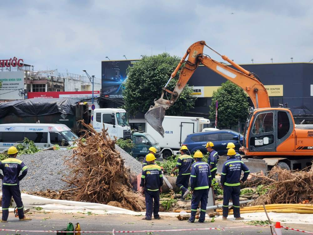 Hàng cây xanh gần giao lộ Trường Chinh - Phạm Văn Bạch đang được đốn hạ để phục vụ thi công nhà ga ngầm S10. Ảnh: Linh Nguyễn