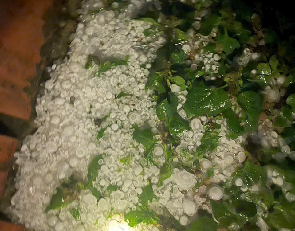 Mưa đá kèm giông lốc trong đêm gây sập nhà sàn, 4 người bị thương ở Lào Cai