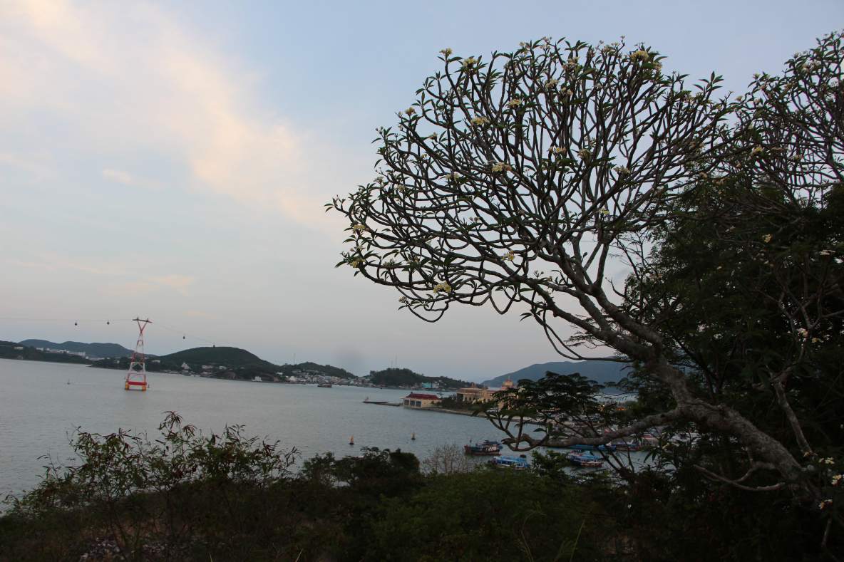 Một góc nhìn từ biệt thự Nghinh Phong nhìn về biển. Ảnh: Phương Linh