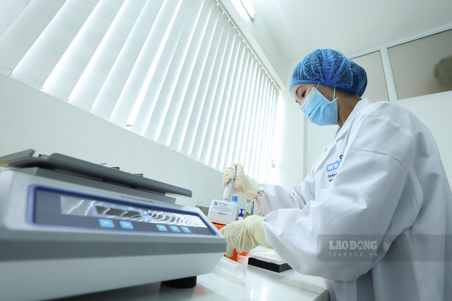 Sau khi được nghiền thành bột, mẫu xương tiếp tục trải qua quá trình tách chiết ADN trong môi trường kiểm soát nghiêm ngặt.