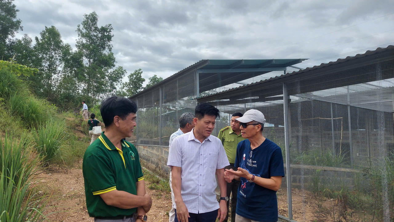Lãnh đạo UBND tỉnh, Sở Nông nghiệp và Môi trường tỉnh Quảng Trị cùng các đại biểu tham quan khu nhân nuôi gà lôi lam mào trắng tại bản Bang, xã Kim Ngân. (Ảnh: M.P)