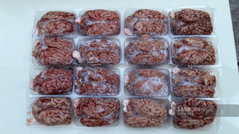 Óc lợn đông lạnh bị bắt giữ. Ảnh: Trung Dũng
