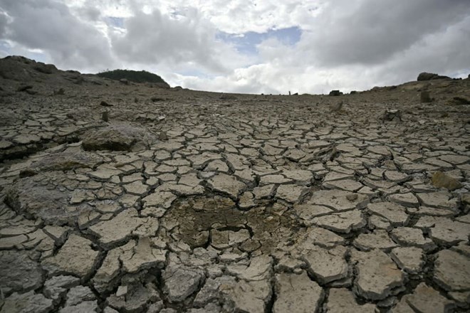Honduras cảnh báo hạn hán với 80% diện tích lãnh thổ do El Nino