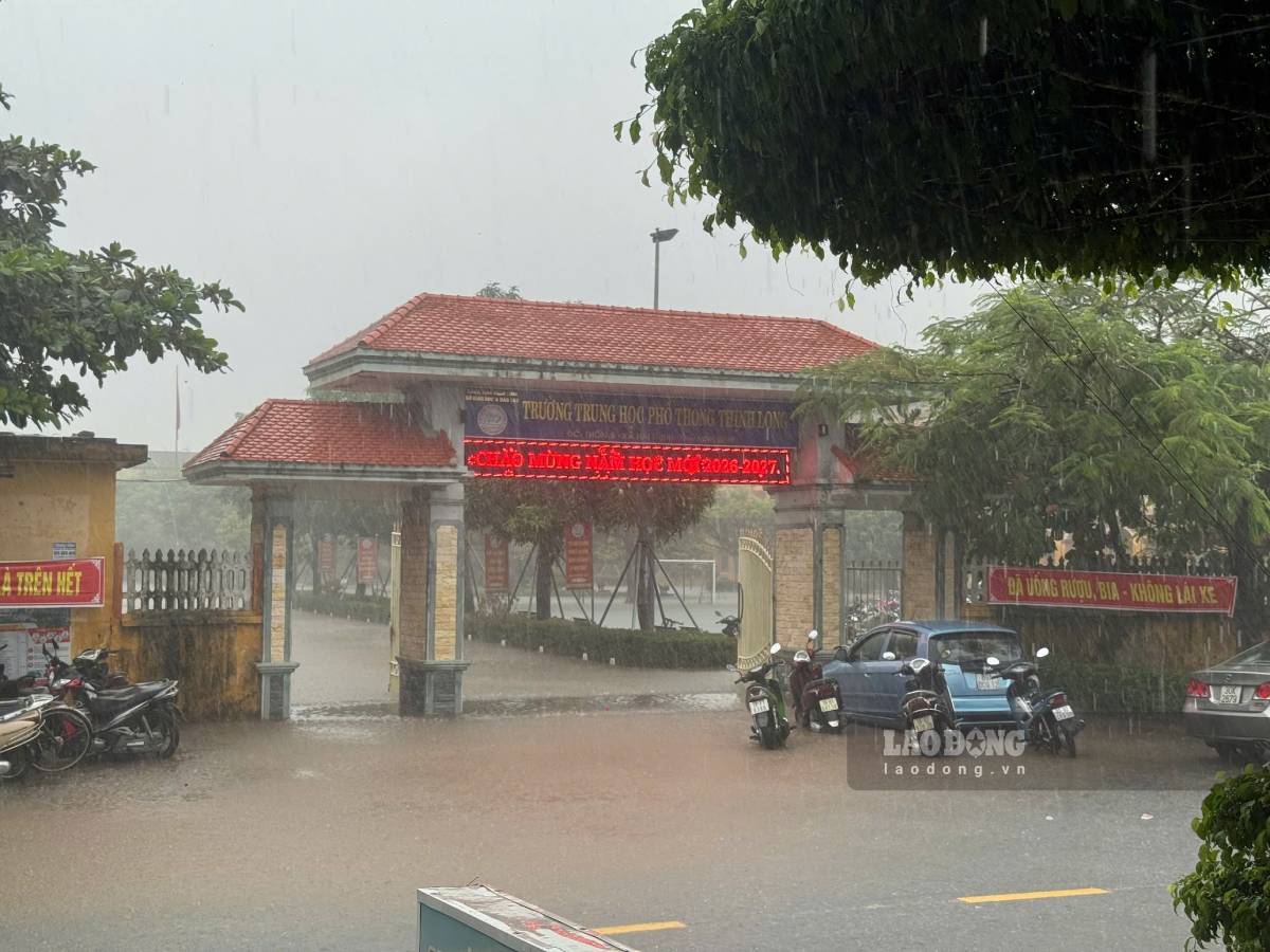 Khu vực
