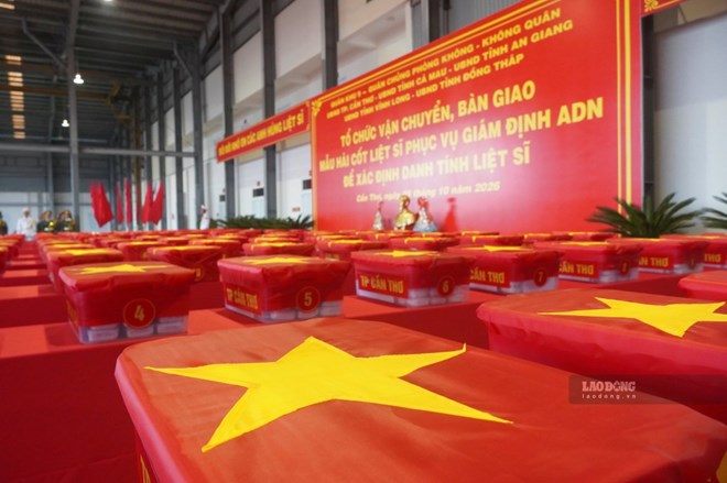 Vận chuyển 15.401 mẫu hài cốt liệt sĩ ra Hà Nội giám định ADN