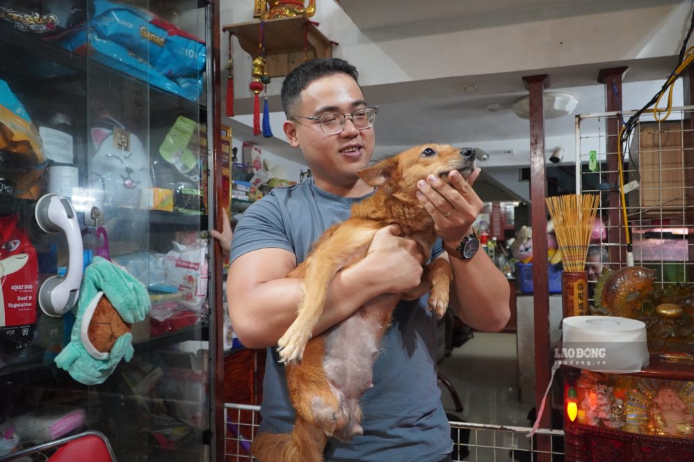 Chú cho tên “Life” từng thoát khỏi lò mổ nhưng bị thương nặng, thậm chí phải cắt bỏ 2 chân sau do hoại tử.
