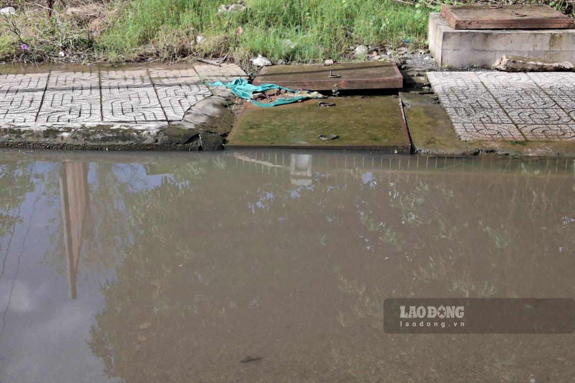 Nước không thoát kịp tại nhiều vị trí cống. Ảnh: Tạ Quang (ảnh chụp ngày 14.10)