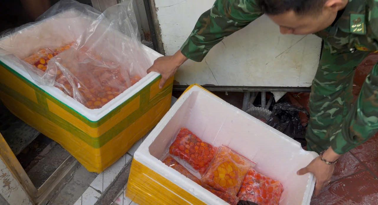 Triệt phá đường dây vận chuyển trái phép hơn 700 kg trứng gà non