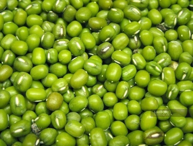 Những thực phẩm bệnh nhân gout nên ăn